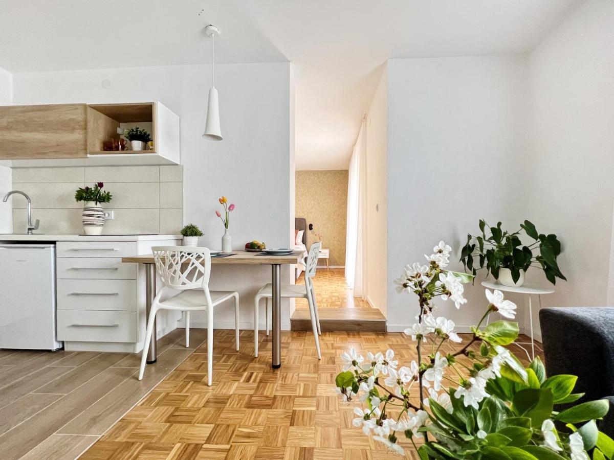 Apartments Valerian Novigrad Istria Kültér fotó